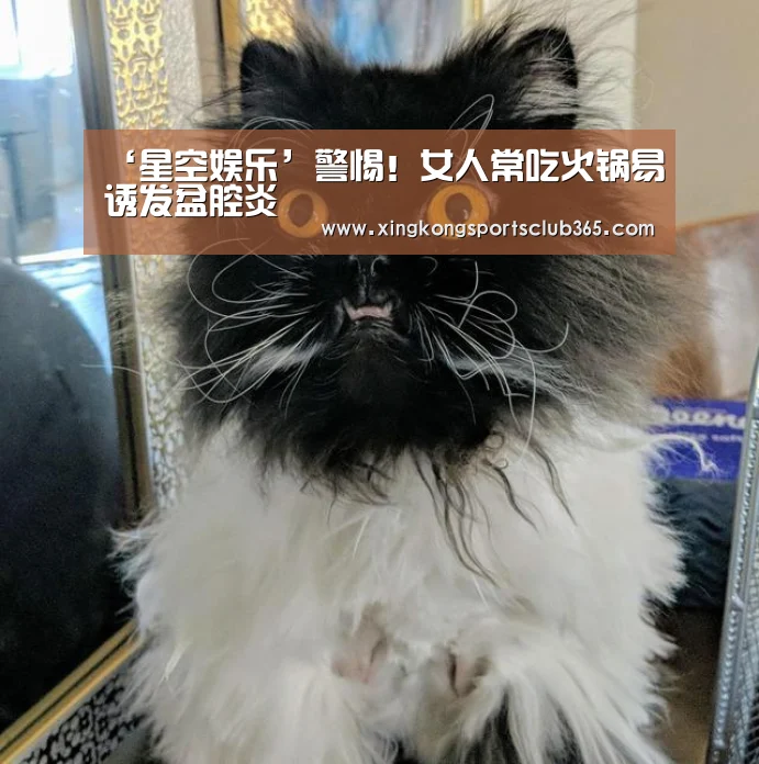 星空真人