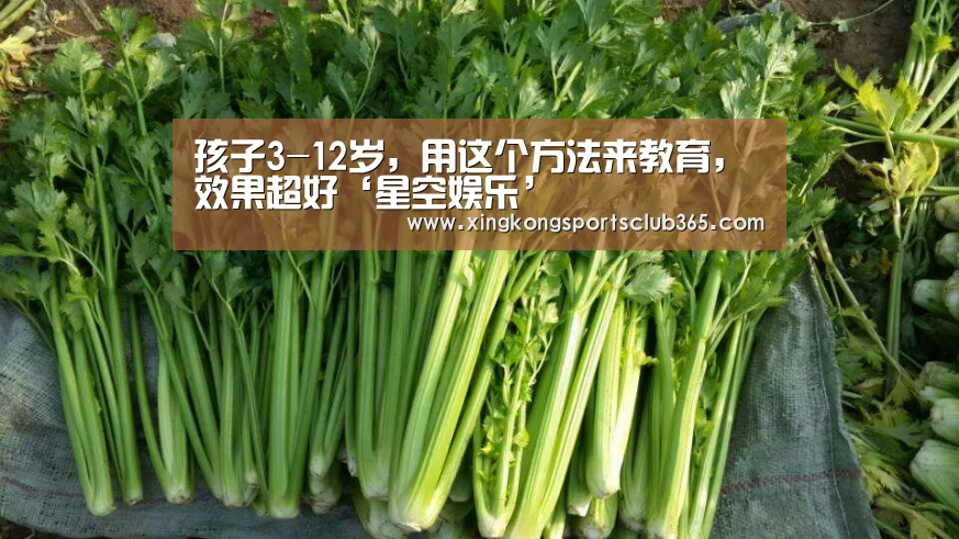孩子3-12岁,用这个方法来教育,效果超好‘星空娱乐’(图3) 星空官网